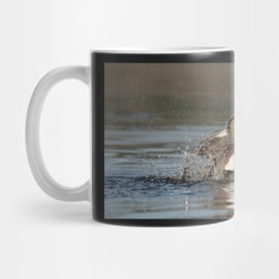 Splashing Wigeon Mug